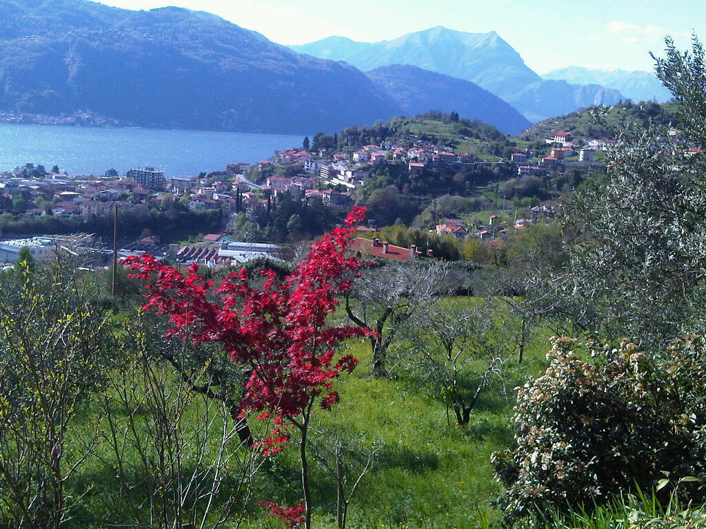 Agriturismo Crotto Di Somana Манделло-дель-Ларио Экстерьер фото